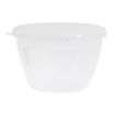 Picture of Kitchen Craft Polypropylene Pudding Basins 290ml (Pack of 12) - Y838