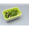 Picture of Scaritech Drainage Tray Anis Green 5Ltr - HZ545