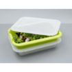 Picture of Scaritech Drainage Tray Anis Green 5Ltr - HZ545