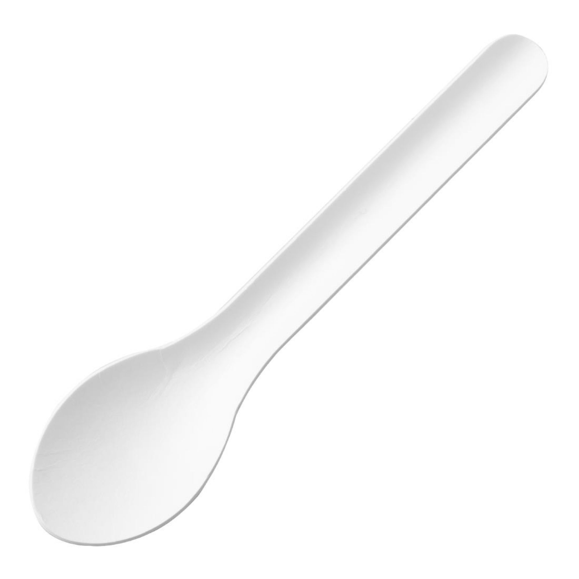 Picture of Fiesta Compostable Paper Spoons 150mm (100 Pack)