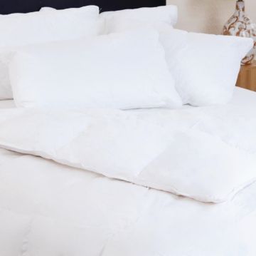 Picture of Mitre Comfort Downie Duvet Single
