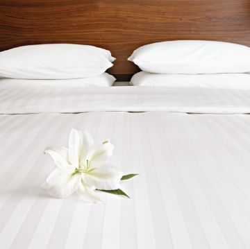 Picture of Mitre Comfort Satin Duvet Cover Oatmeal Single