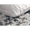 Picture of Mitre Comfort Jemima Pillow Soft - GT739