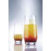 Picture of Schott Zwiesel Belfesta Crystal Hi Ball Glasses 357ml (6 pack) - GD907
