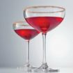 Picture of Schott Zwiesel Bar Special Crystal Champagne Saucers 281ml (6 pack) - GD916