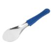 Picture of Schneider Ice Cream Spatula 26cm Blue - FU744