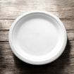 Picture of 9" Bagasse Round Plate (10x50`s) - 109756