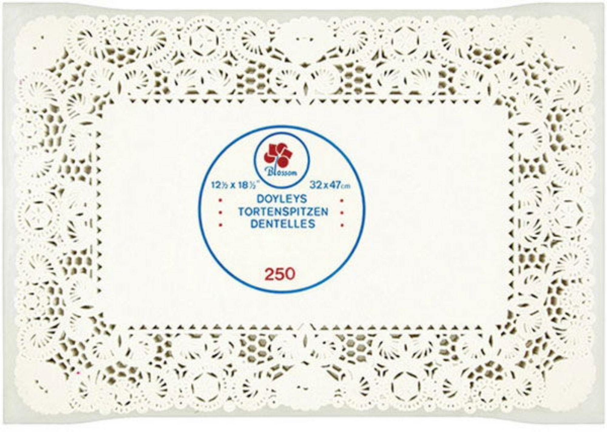 Picture of 10x14.5" White rectangular doylies (4x250) - 10145DOYRD