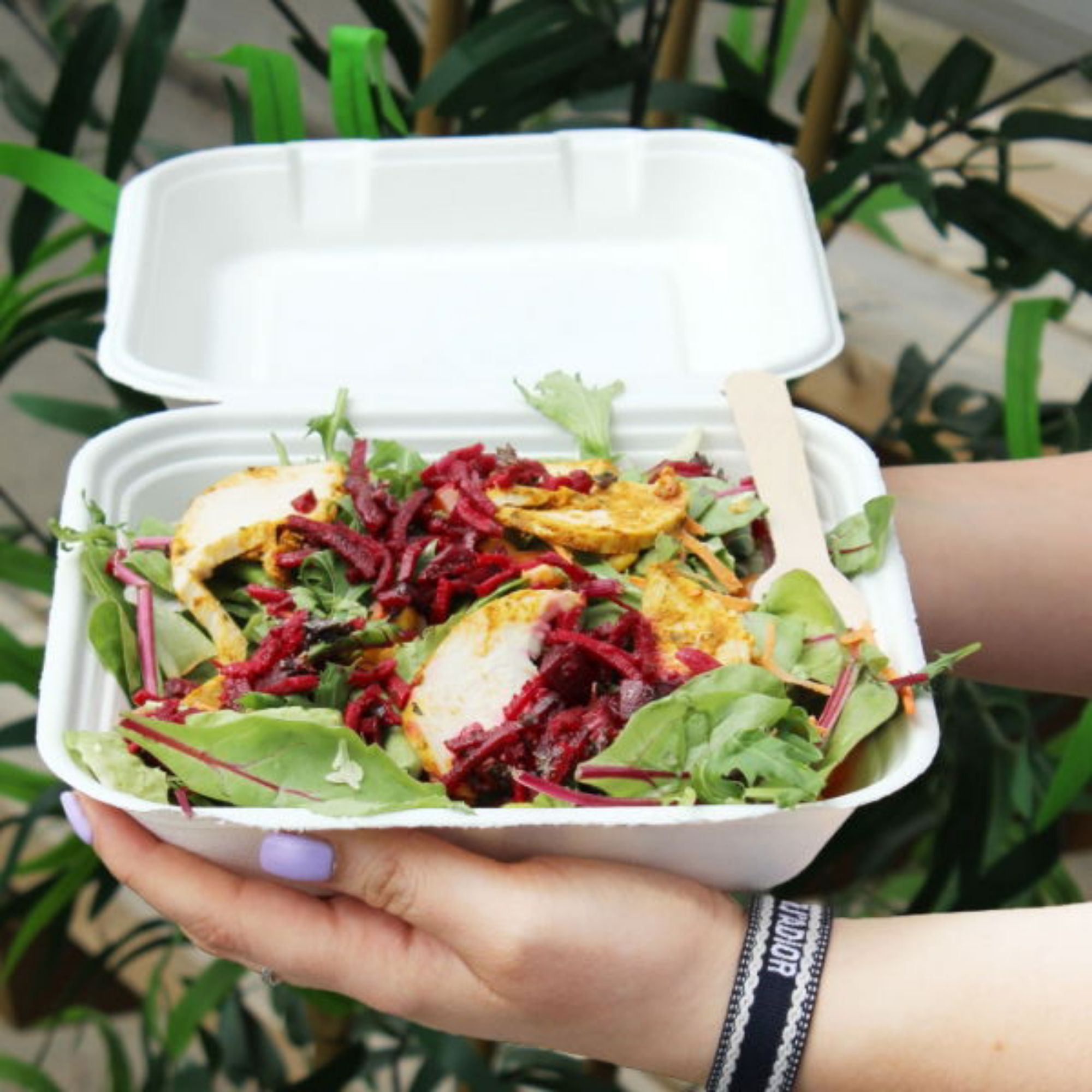 Picture of 8x8"  Bagasse Meal Box  (5 x 50)