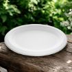 Picture of 10.5x8" Bagasse Oval Plate (10x50's) - 109758