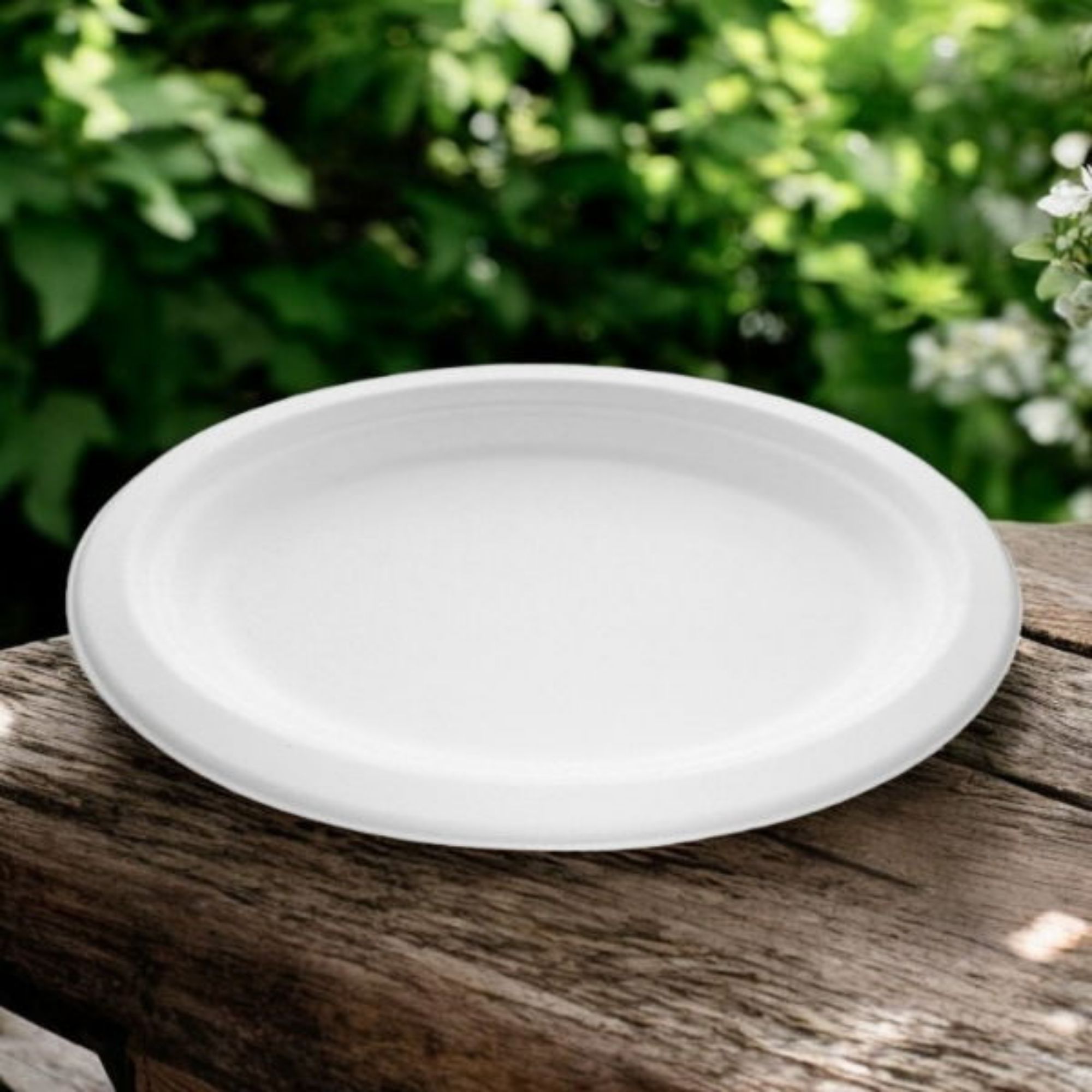Picture of 10.5x8" Bagasse Oval Plate (10x50's)