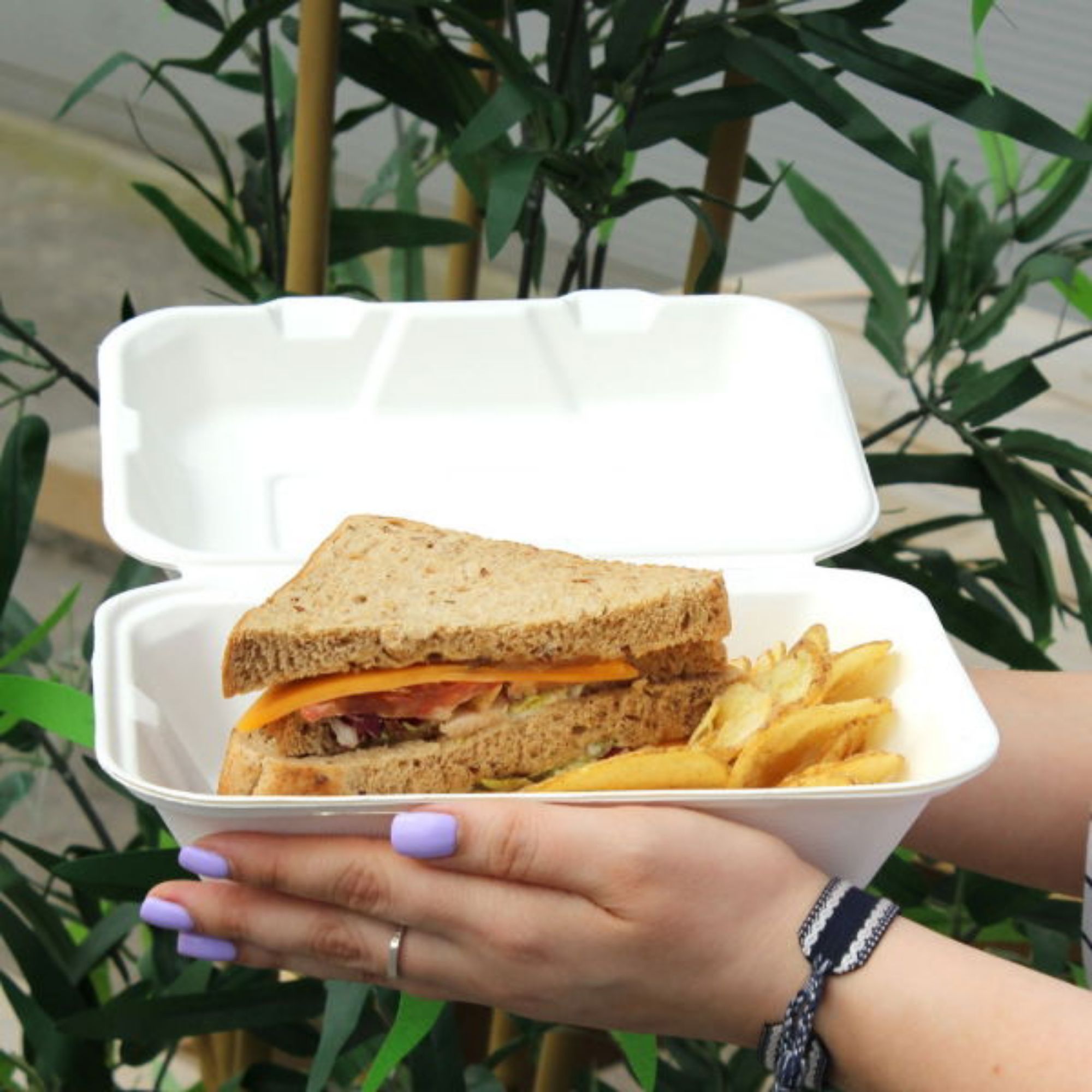 Picture of 9x6x2"  Bagasse Meal Box (1000ml) (5x50)