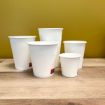 Picture of 16oz White PE SW Hot Cups  (20x50) - 104394
