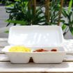 Picture of 9x6x2" - 2 Compartment Bagasse Meal Box (1000ml) (5x50) - 1206660