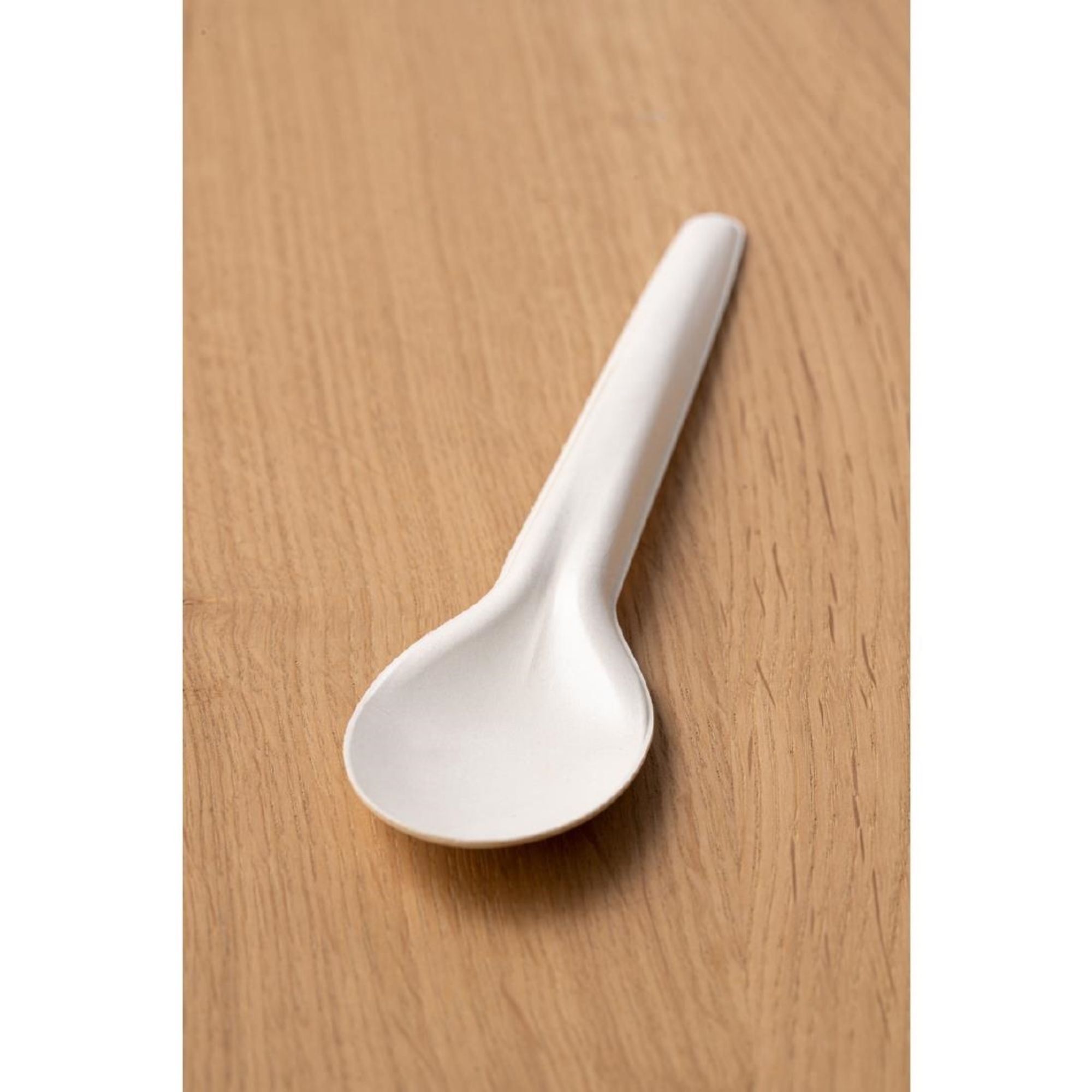Picture of Sabert Recyclable Paper Cutlery Spoon (1000 pack)