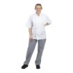 Picture of Whites Unisex Vegas Chefs Trousers Blue & White Check 2XL - B311-XXL