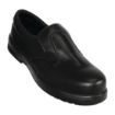 Picture of Slipbuster Lite Slip On Safety Shoes Black 45 - A845-45