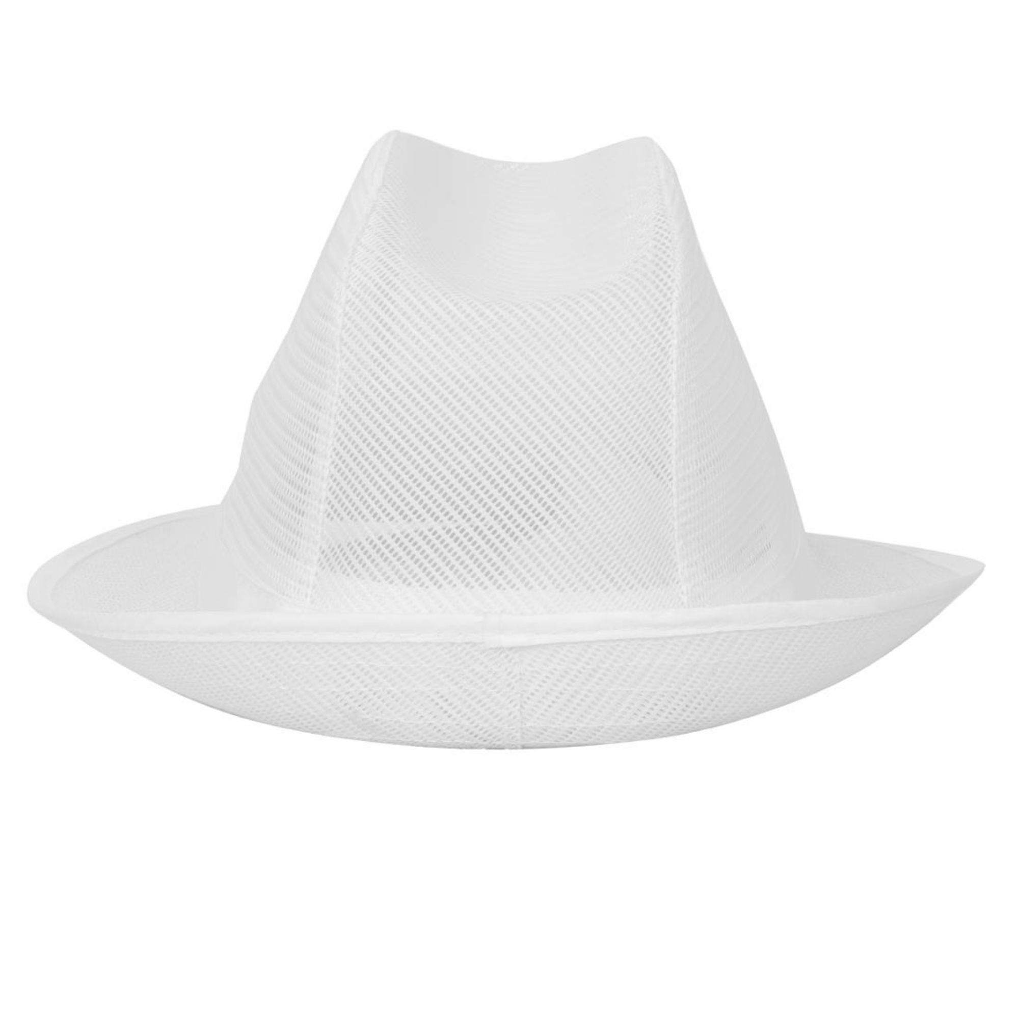 Picture of Trilby Hat with Net Snood White L