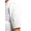 Picture of Whites Vegas Unisex Chef Jacket Short Sleeve White 5XL - A211-5XL