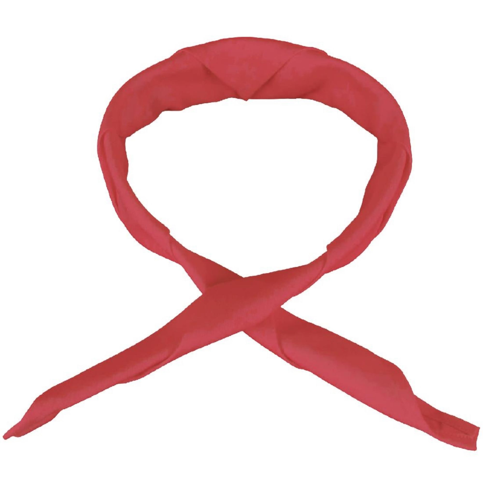 Picture of Whites Neckerchief Red - A054