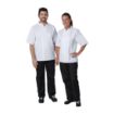Picture of Whites Vegas Unisex Chef Jacket Short Sleeve White 5XL - A211-5XL