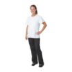 Picture of Unisex Chef T-Shirt White XL - A103-XL