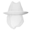 Picture of Trilby Hat with Net Snood White S - A653-S