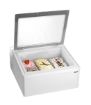 Picture of Bartscher Ice cabinet 3x5L-F - 700941