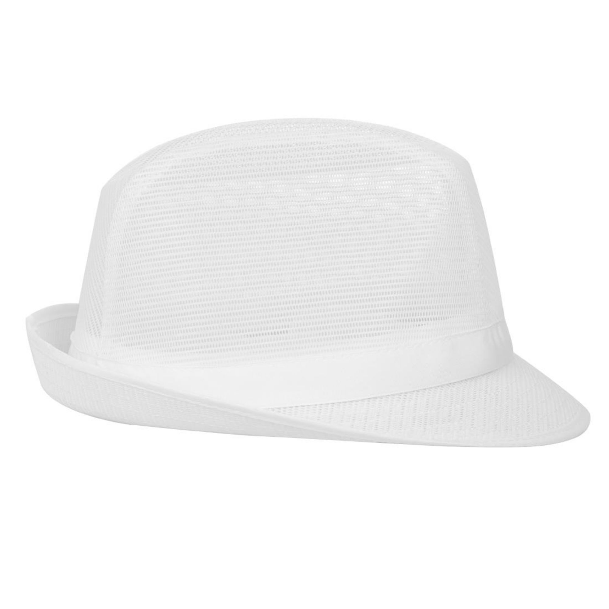 Picture of Trilby Hat with Net Snood White M