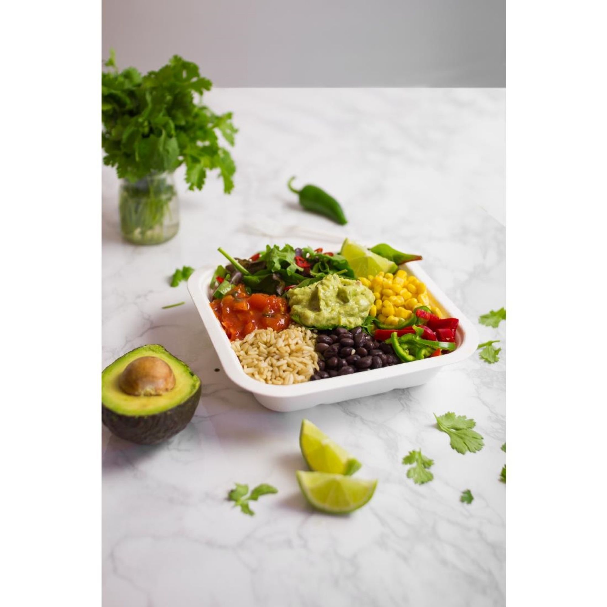 Picture of Vegware Gourmet Bagasse Bases Size 4 650ml (600 Pack)