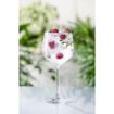 Picture of Royal Leerdam Specials Cocktails Tall Stem Gin Glasses 650ml (6 Pack)