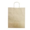 Picture of Fiesta Recyclable Twist Handle Brown Paper Bags Large (250 Pack)