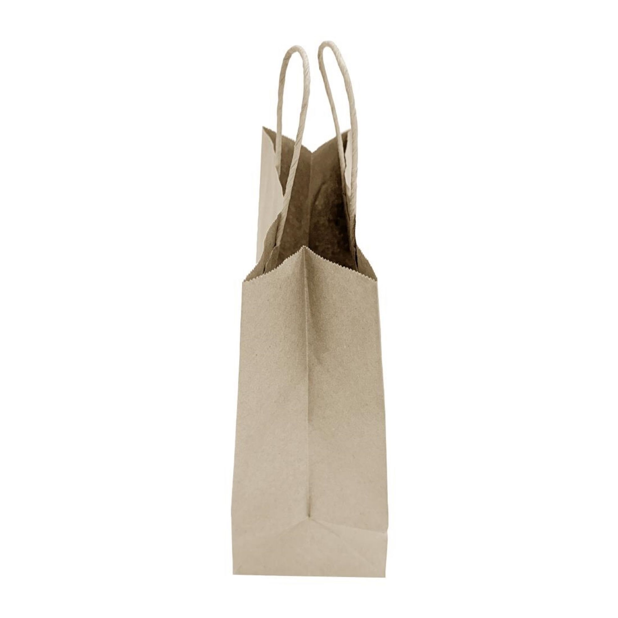 Picture of Fiesta Recyclable Twist Handle Brown Paper Bags Medium (250 Pack)