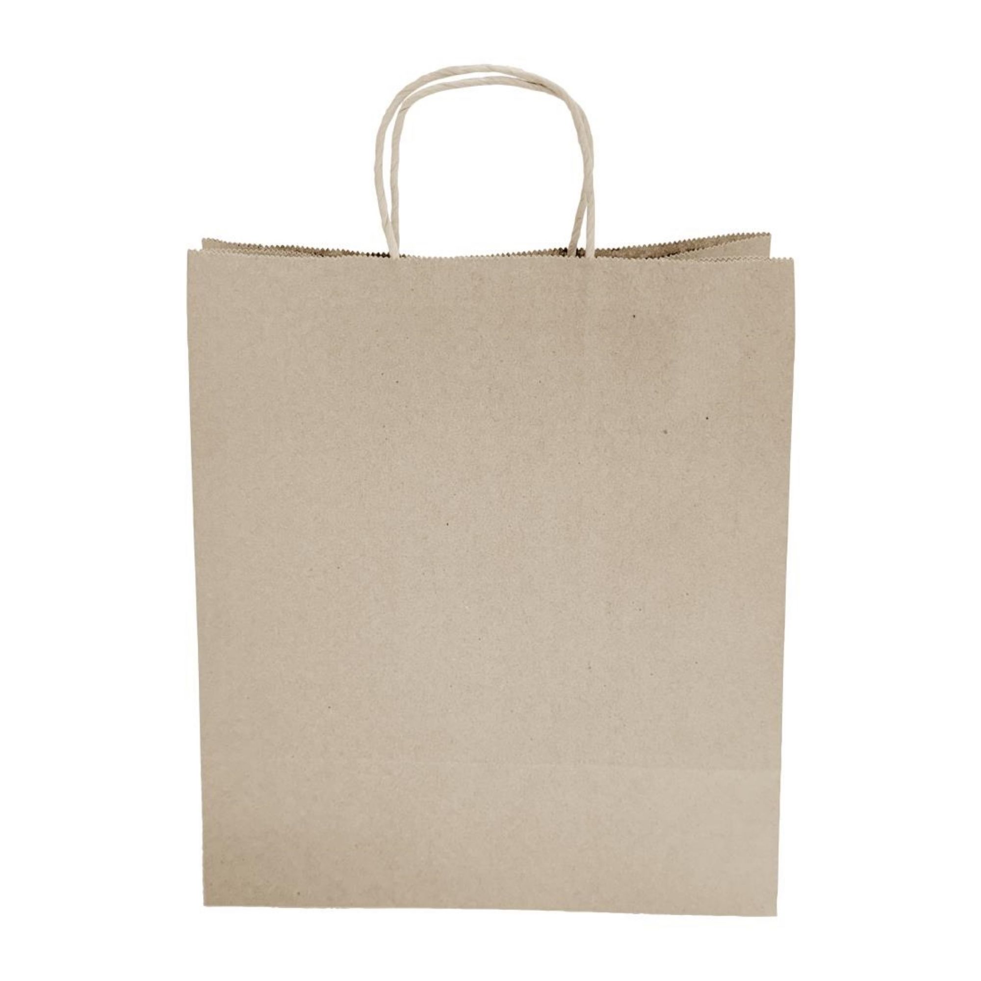 Picture of Fiesta Recyclable Twist Handle Brown Paper Bags Large (250 Pack)
