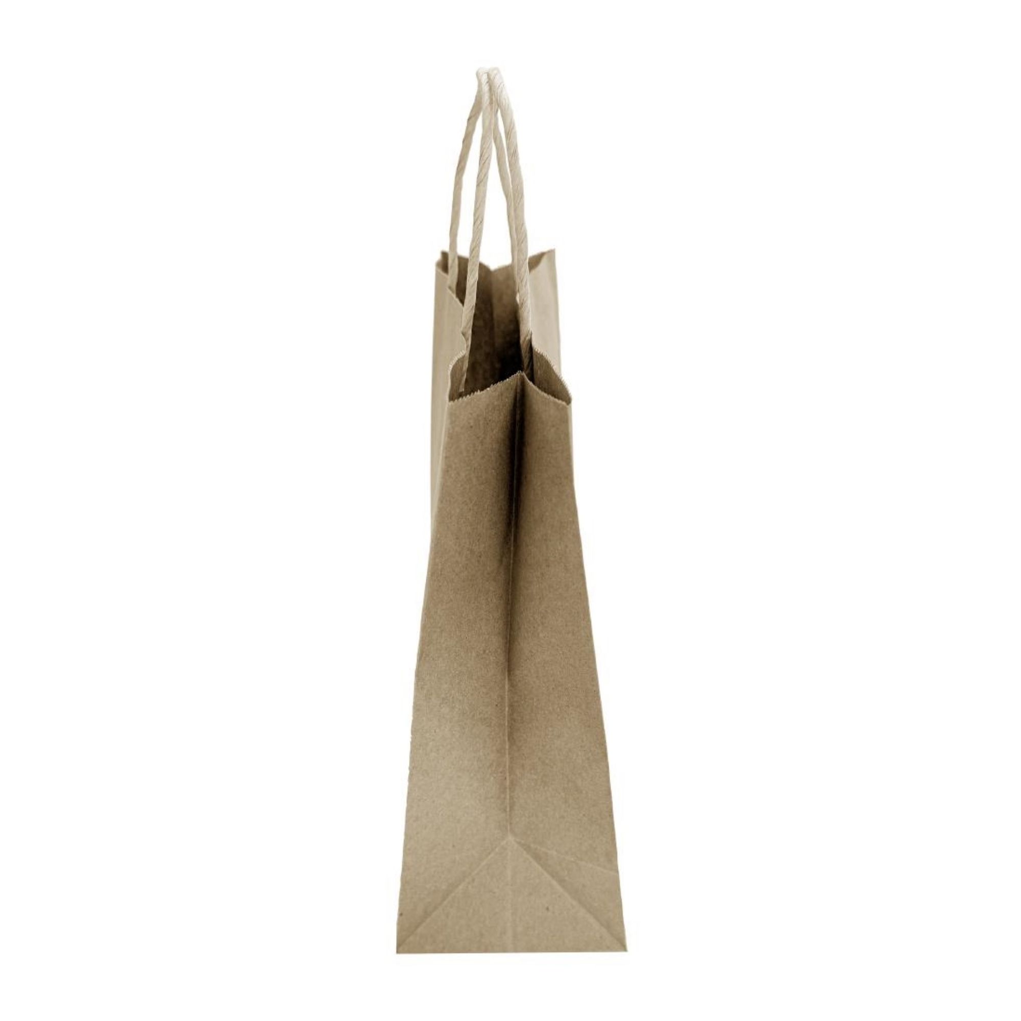 Picture of Fiesta Recyclable Twist Handle Brown Paper Bags Small (250 Pack)