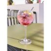 Picture of Chef and Sommelier Symetrie Balloon Gin Glasses 580ml (24 Pack)