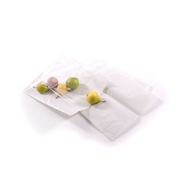 Picture of White 10"x12" Film Front Bags