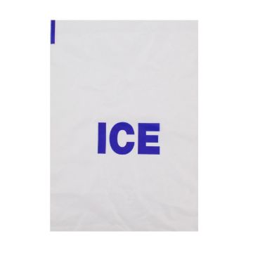 Picture of Large Ice Bag 12"x18"