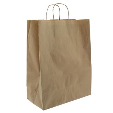 Picture of Brown Kraft Paper Bag with Paper Twist Handles 16"x22"x18"