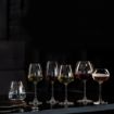 Picture of Royal Leerdam Experts White Wine Glasses 290ml/10.25oz (6 Pack)