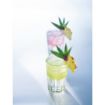 Picture of Arcoroc Granity Hi Ball Glasses 350ml CE Marked at 285ml (48 Pack)
