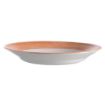 Picture of Arcoroc Brush Soup Plates Orange 225mm (12 Pack)