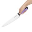 Picture of Hygiplas Pro Chef Knife Purple 25cm