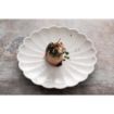 Picture of Olympia Bloom Scalloped Plates White 175mm (6 Pack)