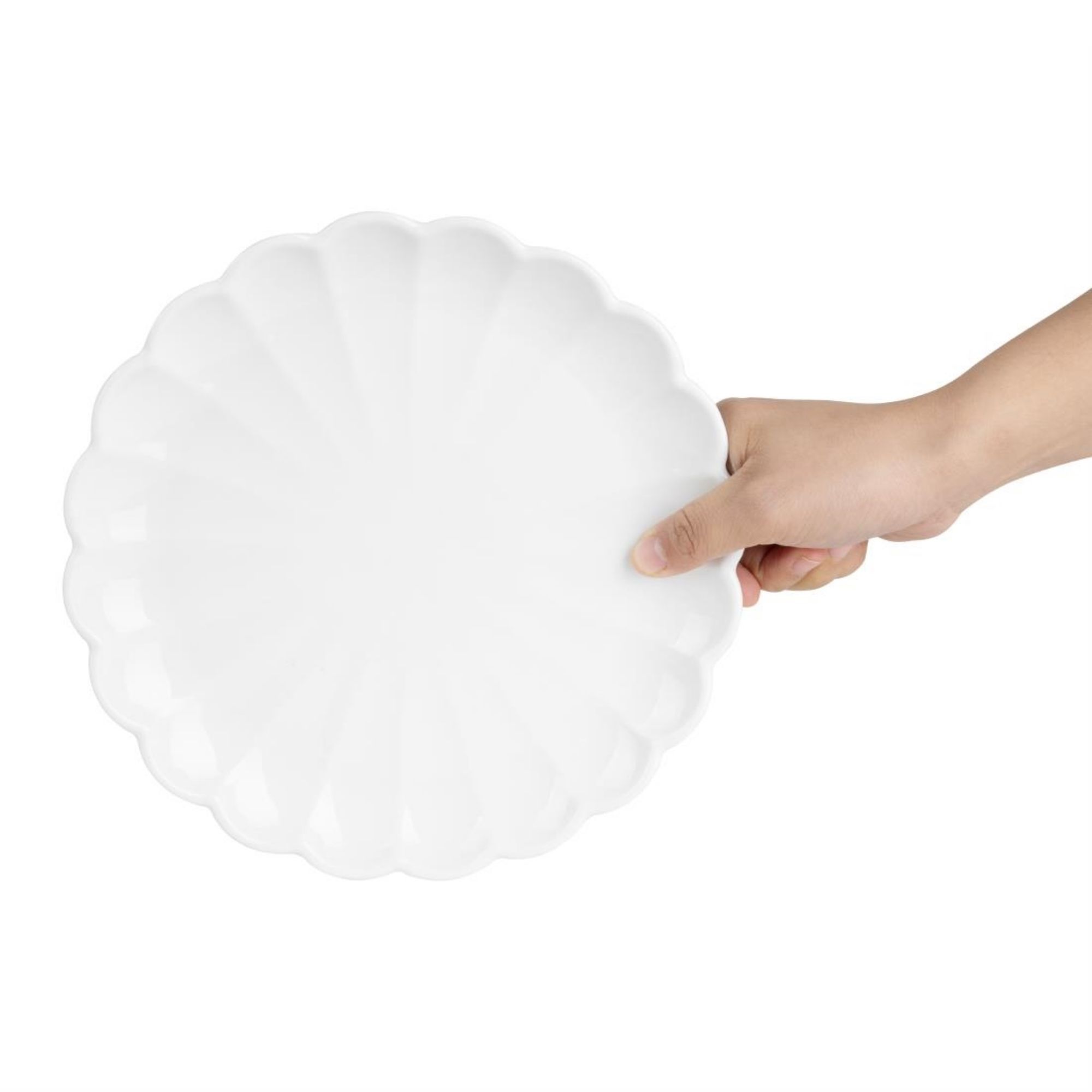 Picture of Olympia Bloom Scalloped Plates White 226mm (6 Pack)