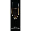 Picture of Chef & Sommelier Evidence Flute Glasses 160ml (24 Pack)