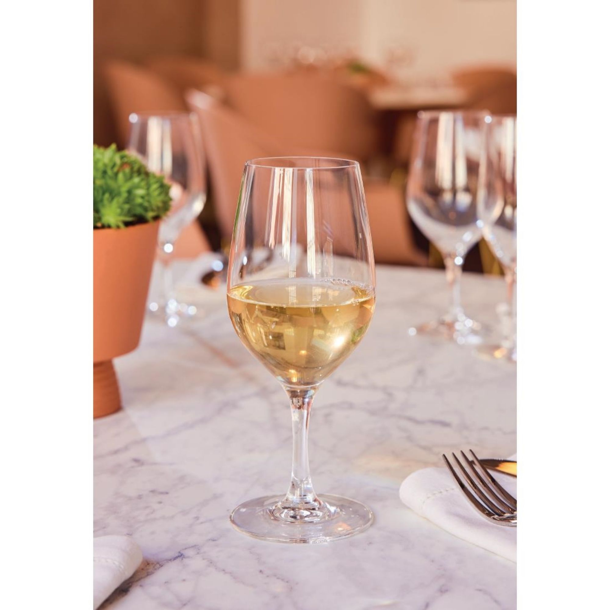 Picture of Chef & Sommelier Evidence Wine Glasses 350ml (24 Pack)