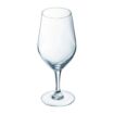 Picture of Chef & Sommelier Evidence Wine Glasses 450ml (24 Pack)