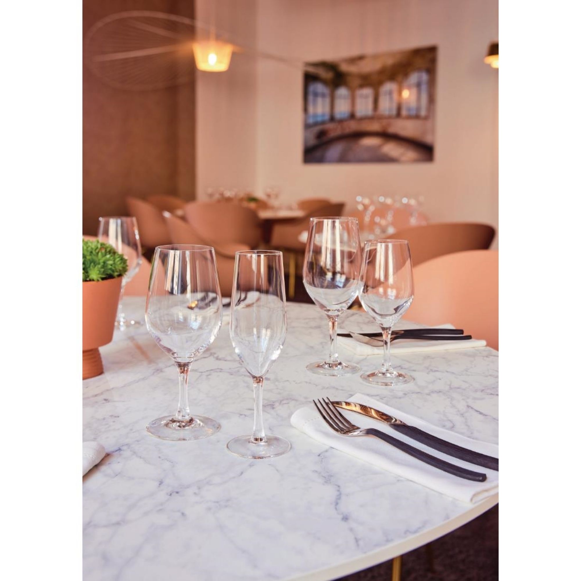 Picture of Chef & Sommelier Evidence Wine Glasses 350ml (24 Pack)