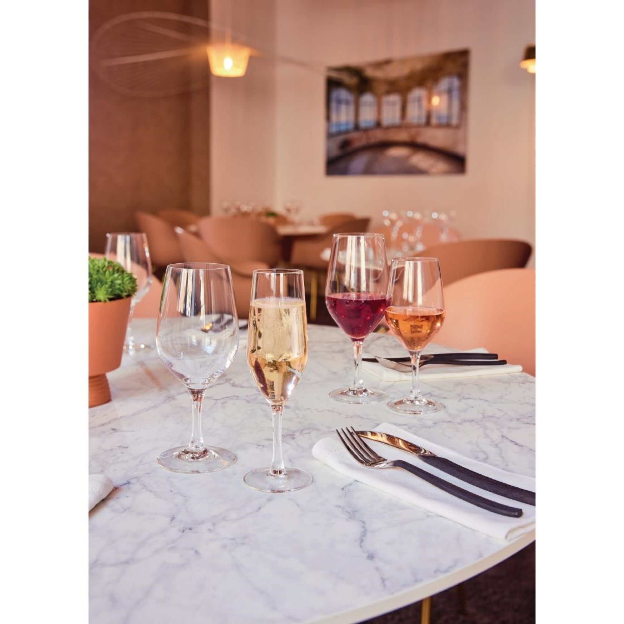 Picture of Chef & Sommelier Evidence Wine Glasses 350ml (24 Pack)